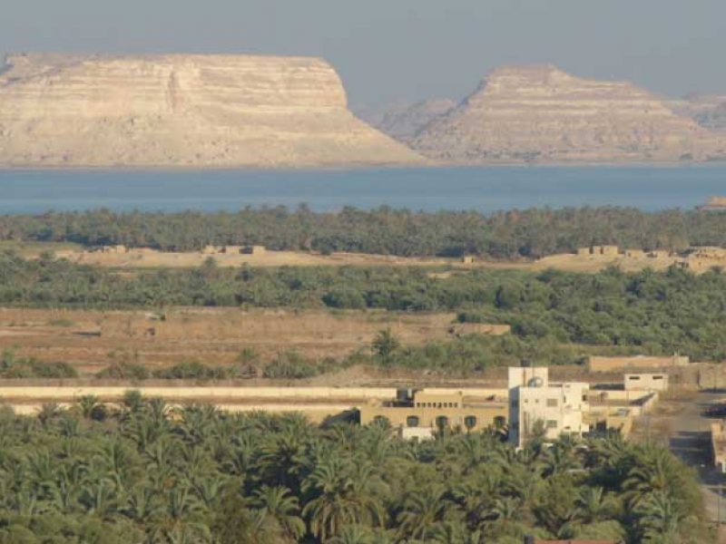 CAIRO –  ALEXANDRIA  – Siwa  6 Nights  7 Days